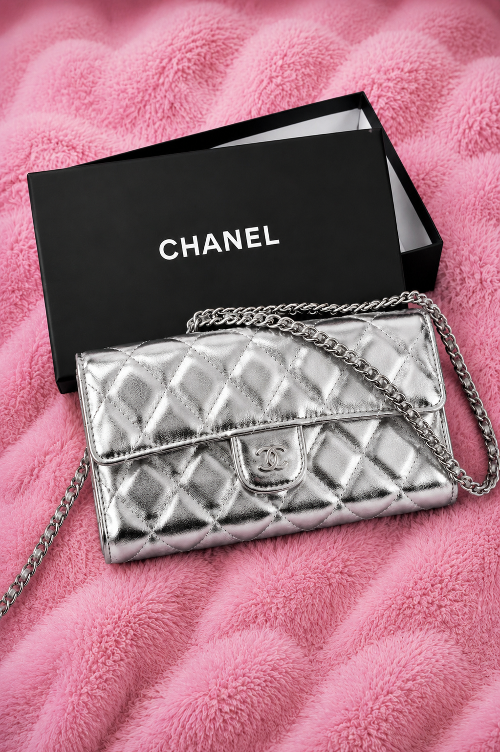 CHANEL BAG SILVER
